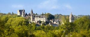 Maisons de vacances Maison de 3 chambres avec jardin amenage a Loches : photos des chambres