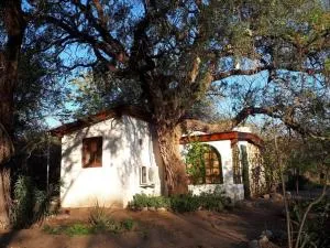 Cabaña Hannah - San José de las Salinas