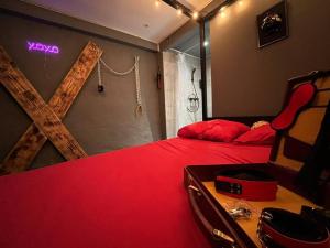 Appartements Les 50 nuances de rouge LOVEROOM : photos des chambres