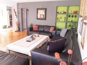 Apartments in Villa Azra