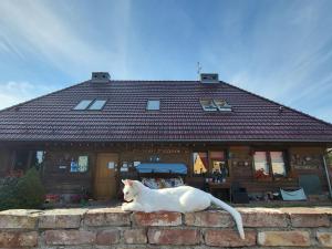 DOM GOŚCINNY PTASZARNIA - NATURA-Free PARKING