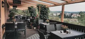 Restaurant & Hotel Zur Falkenhöhe - 弗赖贝格