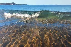 Stanmore Bay Beachfront Cottage - Stanmore Bay