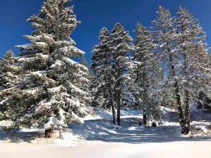 Appartements Studio Chamrousse, 1 piece, 4 personnes - FR-1-340-269 : photos des chambres