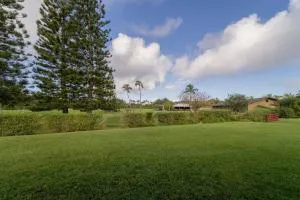 Wicked Wahine Condo - 卡胡库