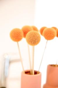 Seascape on Bruny - Family Home in Alonnah