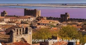 Maisons de vacances Maison neuve calme avec jardin et parking 15 mn de la Grande Motte et du Grau du roi ACCES PMR : photos des chambres