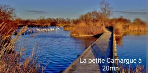 Maisons de vacances Maison neuve calme avec jardin et parking 15 mn de la Grande Motte et du Grau du roi ACCES PMR : photos des chambres