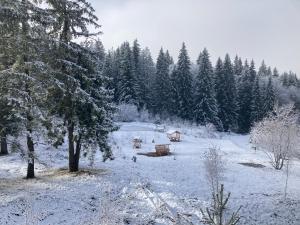 TIAM Apartment Poiana Brașov D117, 3 rooms, 3 terraces, 3 bathrooms