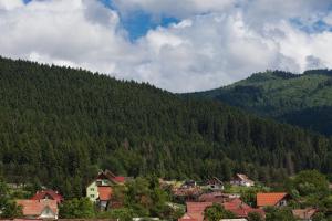 Hotel Montana - Covasna