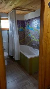 Chalet AS des Pics