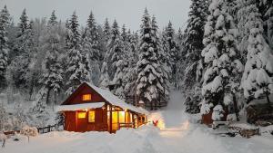 Chalet Woody
