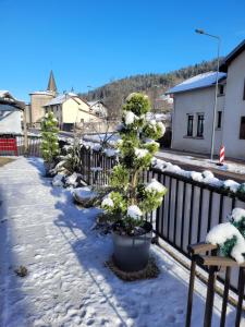 Hotels Les Jolis Coeurs : photos des chambres