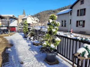 Hotels Les Jolis Coeurs : photos des chambres