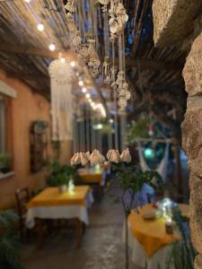 Oasi Muru Idda img46