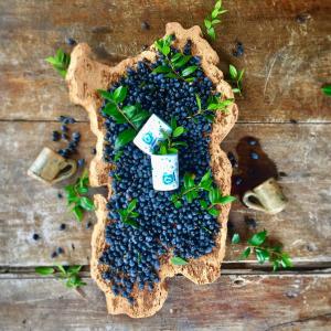 Oasi Muru Idda img65