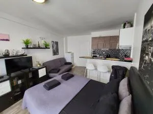 Apartment Louvre - باريس