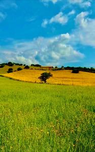 San Leonardo Country House img11