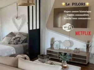 Le Pilori - Centre Historique, en face du musée du Pilori, à 2mn à pied de l'hyper centre et proche toutes commodités, WIFI-Netflix - 尼奥尔