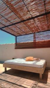 Maisons de vacances Villa Van Gogh : photos des chambres