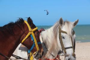 Varandas Do Mar Modern Deluxe Apartment Beach Front Cumbuco