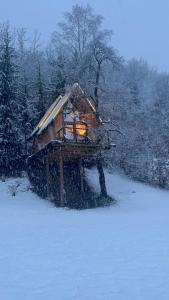 Tree house - Tara Place