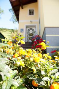Haus Fritzenwallner Appartement 1