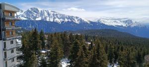 Appartements Appartement pieds des pistes, 6p, piscine ouverte pendant l'ouverture de la station, vue imprenable, Chamrousse : photos des chambres