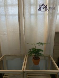 DeMi Homestay - Châu Đốc
