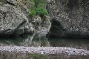 Maisons de vacances Maison en pierre proche des Gorges de l'Asco entre mer montagne et piscine : photos des chambres