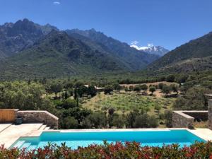 Maisons de vacances Maison en pierre proche des Gorges de l'Asco entre mer montagne et piscine : photos des chambres