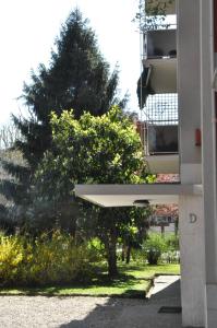 MiCo GARDEN VIEW CITYLIFE EXECUTIVE APARTMENT