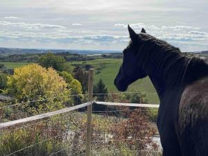 Appartements Las Vignes - Wo die Ruhe die Seele befriedet : photos des chambres