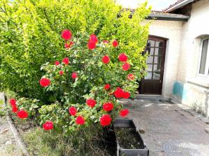 Appartements Las Vignes - Wo die Ruhe die Seele befriedet : photos des chambres