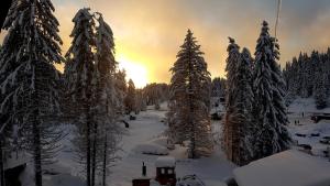 Apartman Jelač Konaci