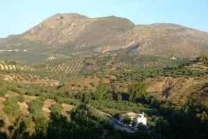 Carretera CO7204, Km 2; 14800 Paraje La Veguilla, Zamoranos, Priego de Córdoba, Andalucía, Spain.