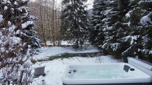 Chalets Le Petit Bouchot & Jacuzzi privatif proximite Gerardmer & La Bresse : Chalet 1 Chambre