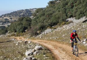 Carretera CO7204, Km 2; 14800 Paraje La Veguilla, Zamoranos, Priego de Córdoba, Andalucía, Spain.