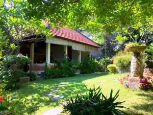 Villa Sarah Nafi, amazing ocean views - Temukus