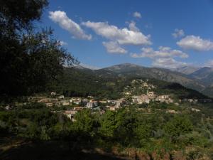 Domaine U Bugnu