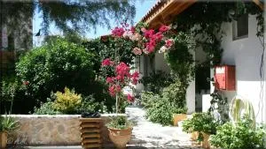 Ampelos apartment and studios - Xerokampos