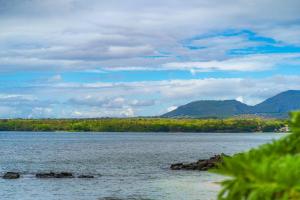 Beachfront Tamarin Villa