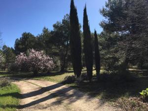 Appartements Le domaine de Gaia : photos des chambres