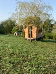 Maisons de vacances Le Petit Chai Fronsadais : photos des chambres