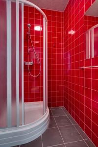 Bunk Bed in a 4-Bed Female Dormitory Room   room in Liberty Airy