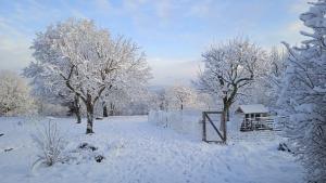 Maisons de vacances Charmant gite Haut-Marnais : photos des chambres