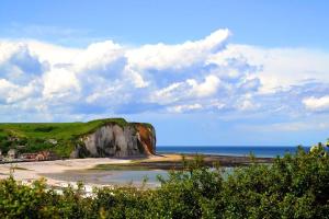 La Glycine Maison 1.5 km Veulettes sur mer