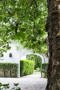 Maisons d'hotes La Castagnere de Bergory : photos des chambres