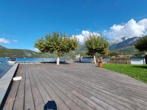 Appartements Studio les Pieds dans L'eau au bord du lac d'Annecy : photos des chambres