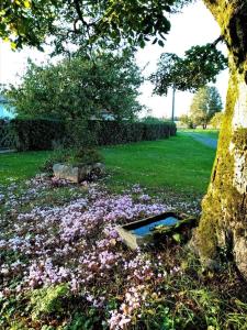 Maisons de vacances Calme et serenite au gite des hortensias : photos des chambres